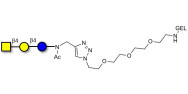 Asialo GM2 Ganglioside oligosaccharide (aGM2) grafted on gel for affinity chromatography (Linker-GEL A)