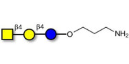 Asialo GM2 Ganglioside oligosaccharide (aGM2) with free terminal amine (Linker-NH2 A)