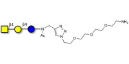 Asialo GM2 Ganglioside oligosaccharide (aGM2) with free terminal amine (Linker-NH2 B)
