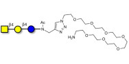Asialo GM2 Ganglioside oligosaccharide (aGM2) with free terminal amine (Linker-NH2 C)