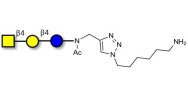 Asialo GM2 Ganglioside oligosaccharide (aGM2) with free terminal amine (Linker-NH2 D)