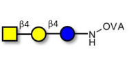 Asialo GM2 Ganglioside oligosaccharide (aGM2) grafted on OVA