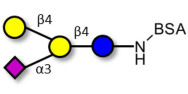 GM2 Ganglioside oligosaccharide analogue grafted on BSA