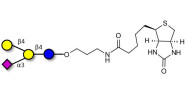GM2 Ganglioside oligosaccharide analogue linked to biotin (Linker-BT B)