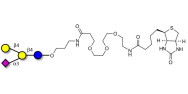 GM2 Ganglioside oligosaccharide analogue linked to biotin (Linker-BT C)