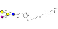 GM2 Ganglioside oligosaccharide analogue grafted on gel for affinity chromatography (Linker-GEL A)