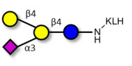 GM2 Ganglioside oligosaccharide analogue grafted on KLH