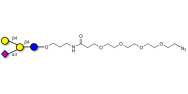 GM2 Ganglioside oligosaccharide analogue with terminal azide (Linker-N3 A)