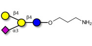 GM2 Ganglioside oligosaccharide analogue with free terminal amine (Linker-NH2 A)