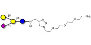GM2 Ganglioside oligosaccharide analogue with free terminal amine (Linker-NH2 B)