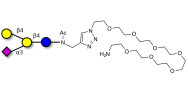 GM2 Ganglioside oligosaccharide analogue with free terminal amine (Linker-NH2 C)