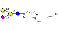 GM2 Ganglioside oligosaccharide analogue with free terminal amine (Linker-NH2 D)