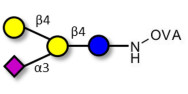 GM2 Ganglioside oligosaccharide analogue grafted on OVA