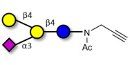 GM2 Ganglioside oligosaccharide analogue with terminal alkyne (Linker-CΞCH A)