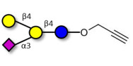 GM2 Ganglioside oligosaccharide analogue with terminal alkyne (Linker-CΞCH B)