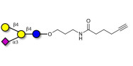 GM2 Ganglioside oligosaccharide analogue with terminal alkyne (Linker-CΞCH C)
