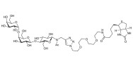 Globotriose (Gb3) linked to biotin (Linker-BT A)