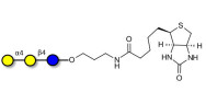 Globotriose (Gb3) linked to biotin (Linker-BT B)