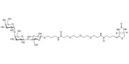 Globotriose (Gb3) linked to biotin (Linker-BT C)