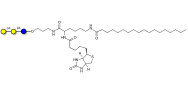 Globotriose (Gb3) linked to biotin and stearic chain (Linker-BT-STEA A)