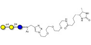 Globotriose (Gb3) linked to desthiobiotin (Linker-DBT-A)