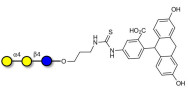 Globotriose (Gb3) linked to fluorescein (Linker-FLUO A)