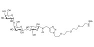 Globotriose (Gb3) grafted on gel for affinity chromatography (Linker-GEL A)