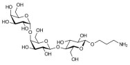 Globotriose (Gb3) with free terminal amine (Linker-NH2 A)