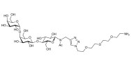 Globotriose (Gb3) with free terminal amine (Linker-NH2 B)