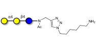 Globotriose (Gb3) with free terminal amine (Linker-NH2 D)