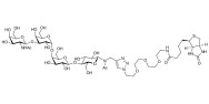 Globotetraose (Gb4) linked to biotin (Linker-BT A)