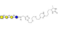 Globotetraose (Gb4) linked to desthiobiotin (Linker-DBT-A)