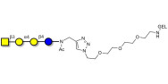 Globotetraose (Gb4) grafted on gel for affinity chromatography (Linker-GEL A)