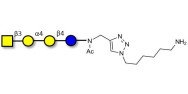 Globotetraose (Gb4) with free terminal amine (Linker-NH2 D)
