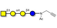 Globotetraose (Gb4) with terminal alkyne (Linker-CΞCH A)