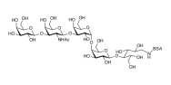 Globopentaose (Gb5) / Stage Specific Embryonic Antigen 3a (SSEA-3a) grafted on BSA