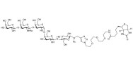 Globopentaose (Gb5) / Stage Specific Embryonic Antigen 3a (SSEA-3a) linked to biotin (Linker-BT A)