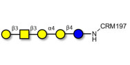 Globopentaose (Gb5) / Stage Specific Embryonic Antigen 3a (SSEA-3a) grafted on CRM197