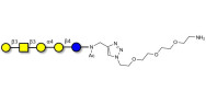 Globopentaose (Gb5) / Stage Specific Embryonic Antigen 3a (SSEA-3a) with free terminal amine (Linker-NH2 B)
