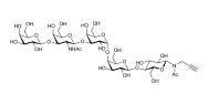Globopentaose (Gb5) / Stage Specific Embryonic Antigen 3a (SSEA-3a) with terminal alkyne (Linker-CΞCH A)