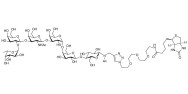 Globo-H hexaose / Stage Specific Embryonic Antigen 3b (SSEA-3b) linked to biotin (Linker-BT A)