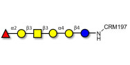 Globo-H hexaose / Stage Specific Embryonic Antigen 3b (SSEA-3b) grafted on CRM197