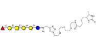 Globo-H hexaose / Stage Specific Embryonic Antigen 3b (SSEA-3b) linked to desthiobiotin (Linker-DBT-A)