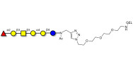 Globo-H hexaose / Stage Specific Embryonic Antigen 3b (SSEA-3b) grafted on gel for affinity chromatography (Linker-GEL A)