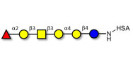 Globo-H hexaose / Stage Specific Embryonic Antigen 3b (SSEA-3b) grafted on HSA