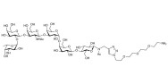 Globo-H hexaose / Stage Specific Embryonic Antigen 3b (SSEA-3b) with free terminal amine (Linker-NH2 B)