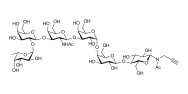Globo-H hexaose / Stage Specific Embryonic Antigen 3b (SSEA-3b) with terminal alkyne (Linker-CΞCH A)