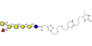 Globo-A heptaose linked to desthiobiotin (Linker-DBT-A)