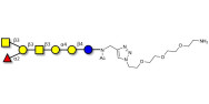 Globo-A heptaose with free terminal amine (Linker-NH2 B)