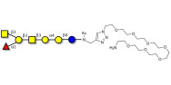 Globo-A heptaose with free terminal amine (Linker-NH2 C)